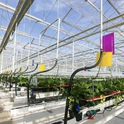Sistema idroponico in serra con grande schermo d'ombra per coltivazioni ottimali