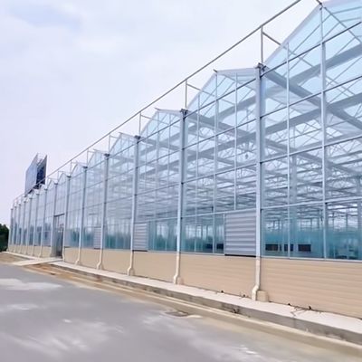 Sistema idroponico in serra con grande schermo d'ombra per coltivazioni ottimali