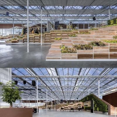 Richiesta personalizzata per impianto di serra commerciale di vetro per irrigazione a goccia
