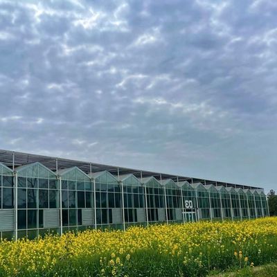 Serre di vetro elegante con impianto per ortaggi idroponici Migliora l'efficienza agricola