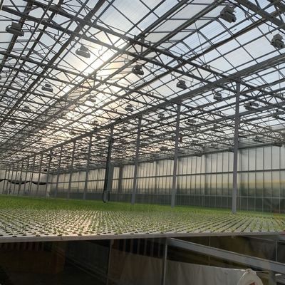 Serre di vetro elegante con impianto per ortaggi idroponici Migliora l'efficienza agricola
