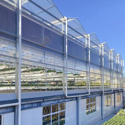 Serre di vetro elegante con impianto per ortaggi idroponici Migliora l'efficienza agricola