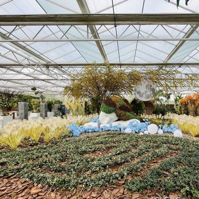 Struttura in acciaio Serra di vetro per la coltivazione vegetale grande e multifunzionale