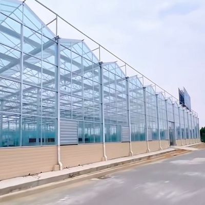 Serra in vetro di origine cinese con ortaggi idroponici