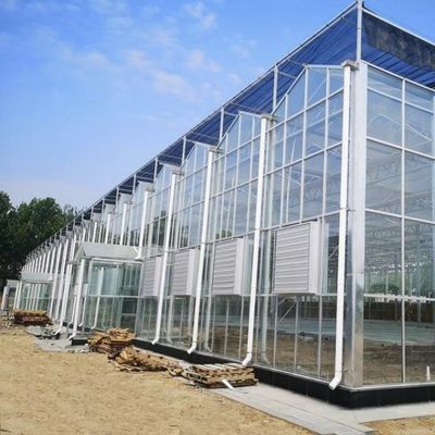 Sistema idroponico in vetro a prezzo ragionevole per il massimo utilizzo dello spazio