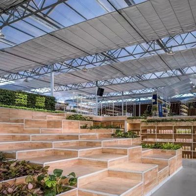 Terrazzo a forma di tetto Serra di vetro idroponica per la coltivazione di grandi ortaggi
