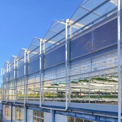 Sistema idroponico di vegetazione in serra di vetro per il massimo efficienza idrica
