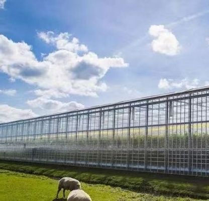 Serra di vetro idroponica con schermo ombroso Sistema di pacchetto Peso lordo 80.000kg
