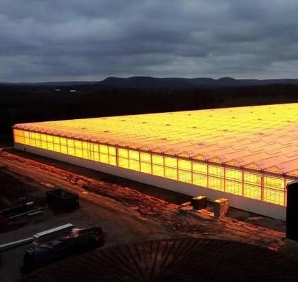 Serra di vetro idroponica con schermo ombroso Sistema di pacchetto Peso lordo 80.000kg
