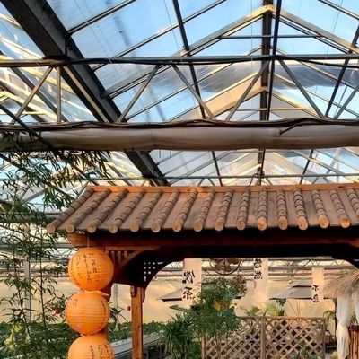 Coltivazione di verdure idroponiche avanzate in grandi serre di vetro