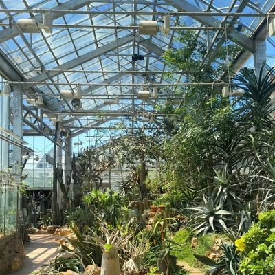 Coltivazione di verdure idroponiche avanzate in grandi serre di vetro
