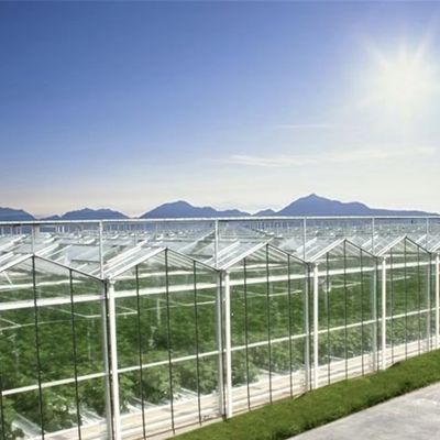Coltivazione di verdure idroponiche avanzate in grandi serre di vetro