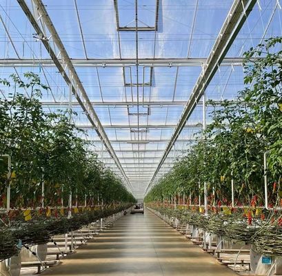 US Float single span greenhouse per ortaggi/frutti/fiori e restituzioni di restituzione