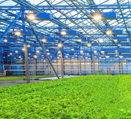 US Float single span greenhouse per ortaggi/frutti/fiori e restituzioni di restituzione