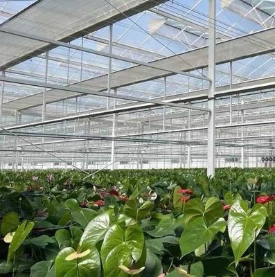 US Float single span greenhouse per ortaggi/frutti/fiori e restituzioni di restituzione