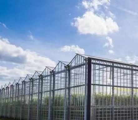 US Float single span greenhouse per ortaggi/frutti/fiori e restituzioni di restituzione