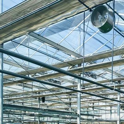 Sistema idroponico in serra a doppio strato di vetro con integrazione della tecnologia multi-span