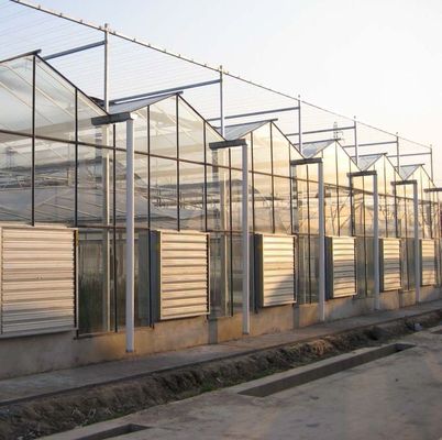 Coltivazione di alberi ortofrutticoli Sistema di schermo multi-ombra Serra in struttura in acciaio