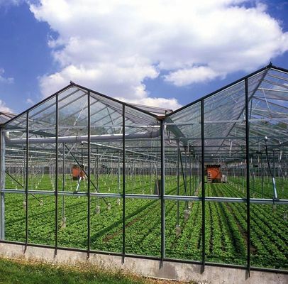 Coltivazione di alberi ortofrutticoli Sistema di schermo multi-ombra Serra in struttura in acciaio