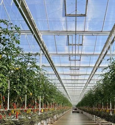 Coltivazione di alberi ortofrutticoli Sistema di schermo multi-ombra Serra in struttura in acciaio