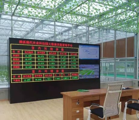 Sistema di coltivazione idroponica in serra commerciale JX-h0075 per la produzione di ortaggi