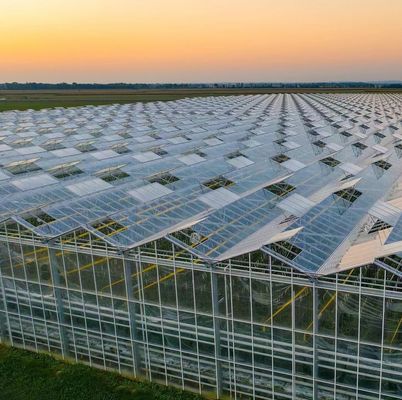Sistema di coltivazione idroponica in serra commerciale JX-h0075 per la produzione di ortaggi