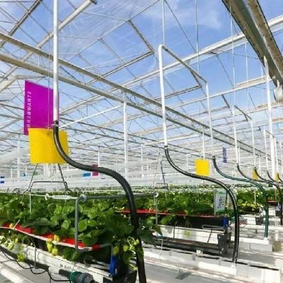 Sistema idroponico di tetto per verdure in serra di vetro