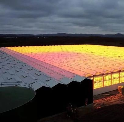 Struttura in acciaio Sistema di coltivazione idroponica Venlo per la coltivazione idroponica di ortaggi