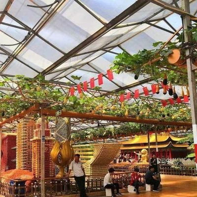 Progettazione innovativa e serra in vetro idroponica innovativa per la coltivazione di verdure