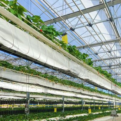 Sistema di coltivazione idroponica Serra di vetro per tetto a doppio strato forma un tipo di tetto