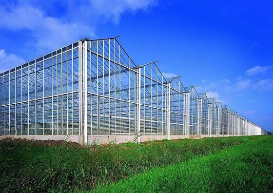 80.000kg Pacchetto Peso lordo Serra di vetro con idroponica e costi di spedizione