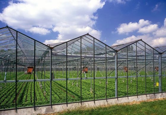 80.000kg Pacchetto Peso lordo Serra di vetro con idroponica e costi di spedizione