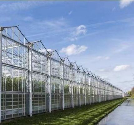 Serra a doppio strato per piantare ortaggi con irrigazione a goccia e struttura in acciaio