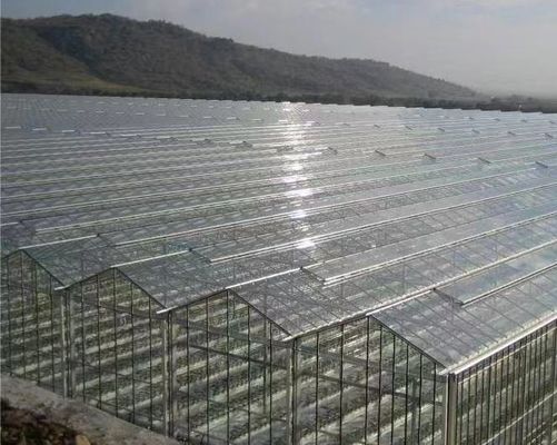 Buona trasmissione luminosa Copertura di vetro Venlo Serra con opzione di personalizzazione