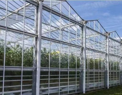Buona trasmissione luminosa Copertura di vetro Venlo Serra con opzione di personalizzazione