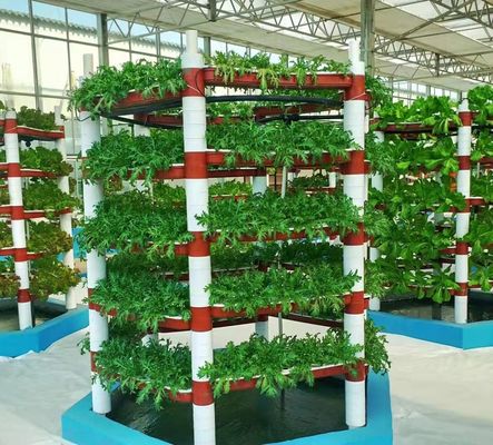 Ambienti controllati per sementi/verdure/frutta/fiore Serra per sementi idroponica