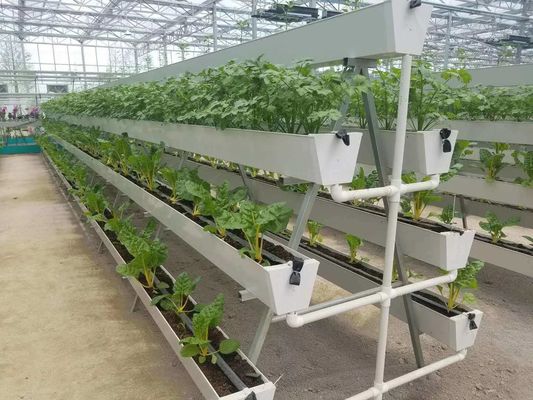 Ambienti controllati per sementi/verdure/frutta/fiore Serra per sementi idroponica