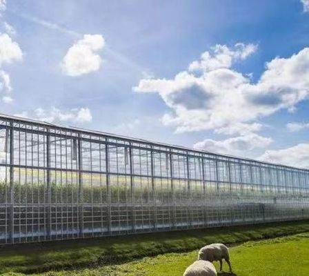 Ambienti controllati per sementi/verdure/frutta/fiore Serra per sementi idroponica