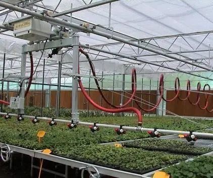 Ambienti controllati per sementi/verdure/frutta/fiore Serra per sementi idroponica