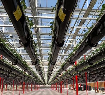 Struttura di semina idroponica anti gocciolante, perfetta per le esigenze del cliente