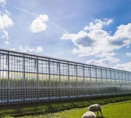 Struttura di semina idroponica anti gocciolante, perfetta per le esigenze del cliente