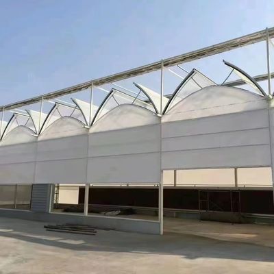 Metodo di coltivazione idroponica US Regulated Glass Greenhouse per ortaggi/fiori/frutta