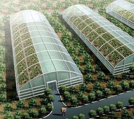 Metodo di coltivazione idroponica US Regulated Glass Greenhouse per ortaggi/fiori/frutta