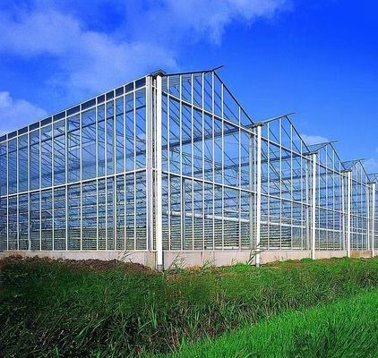Metodo di coltivazione idroponica US Regulated Glass Greenhouse per ortaggi/fiori/frutta
