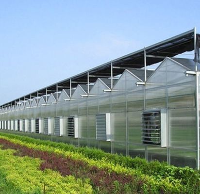 Metodo di coltivazione idroponica US Regulated Glass Greenhouse per ortaggi/fiori/frutta