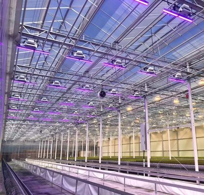 Sistema di semina idroponica per l'agricoltura con tetto a doppio strato in pellicola di plastica in stile Venlo