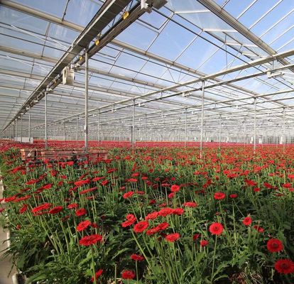 Sistema di semina idroponica per l'agricoltura con tetto a doppio strato in pellicola di plastica in stile Venlo