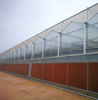 Sistema di semina idroponica per l'agricoltura con tetto a doppio strato in pellicola di plastica in stile Venlo