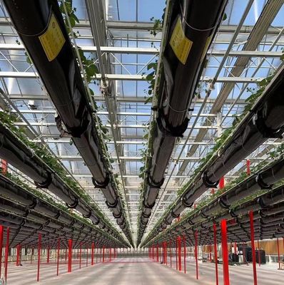 Sistema di semina idroponica per l'agricoltura con tetto a doppio strato in pellicola di plastica in stile Venlo