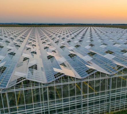 Sistema di semina idroponica per l'agricoltura con tetto a doppio strato in pellicola di plastica in stile Venlo